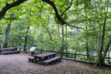 Picnic area with tables and wooden benches next to the river Eume in Galicia, Spain. Zone very wooded and very green. Without peopleの写真素材