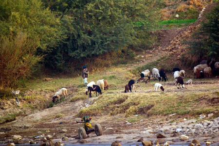 Rio Nilo, near Luxor, Egypt, February 21, 2017: small Egyptian child caring for a herd of goats on the banks of the Nile river and next to a motor pumpのeditorial素材