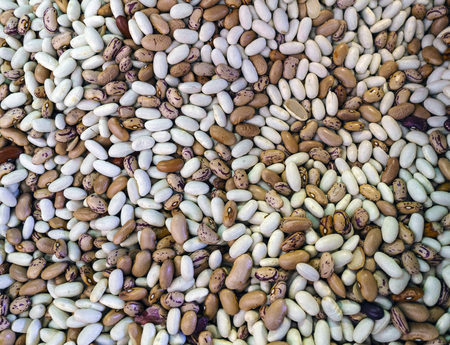 Close-up of beans of different colors (brown and white) for sale at the market called Do Bolhao in...