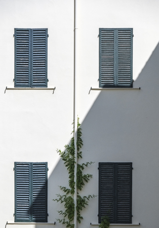 Symmetrical image of a white wall with four windows with blue shutters and a pipe in the middle with a climbing plant. The shadow divides the image diagonallyの写真素材