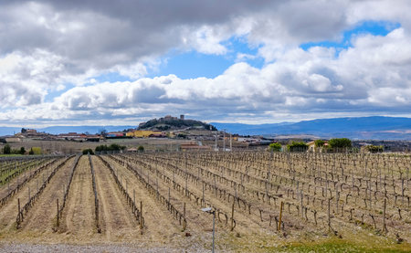 View of a vineyard with strains perfectly aligned but without leaves or grapes on a very cold and cloudy winter day, with a typical village of La Rioja in Spain called Elciegoの写真素材