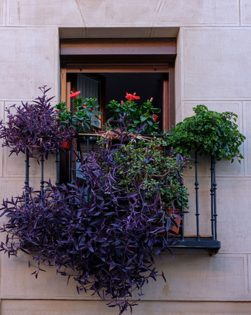 Balcony with wrought iron railing and purple and red flowers with lots of green on the facade of an old houseの写真素材