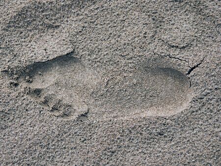 Human footprint in the wet sand of the beach of Gandia, Valencia,の写真素材