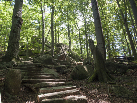 Road to Chojnik Castleの写真素材