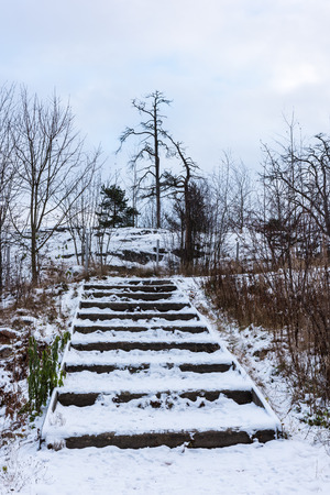 Steps of wooden stair half covered in snow on a cloudy winter dayの写真素材