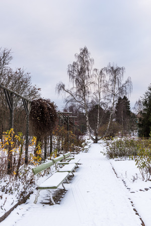 Snow covered benches in a city park on a winter dayの写真素材