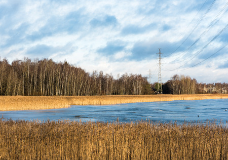 Power line over icy water on a sunny winter day with dry reeds in the foregroundの写真素材