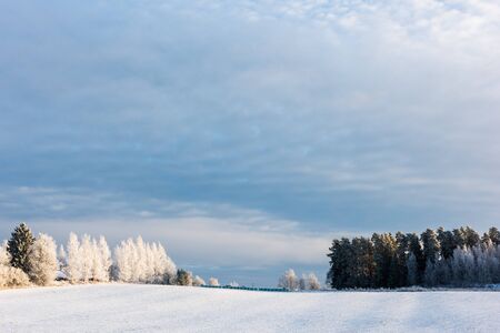 Snowy field landscape on a winter day with some clouds in the skyの写真素材