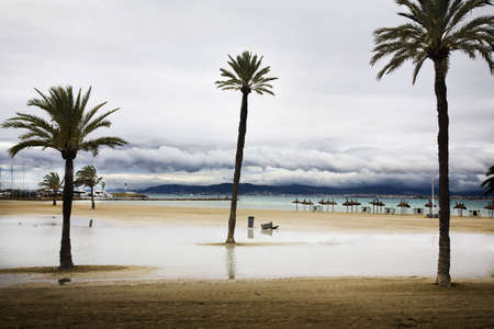 on the beach 6の写真素材