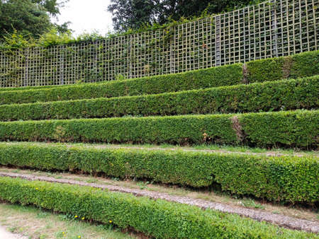 Versailles, France, June 28, 2020: View of the Chateau Versailles garden, park and tree UNESCOのeditorial素材
