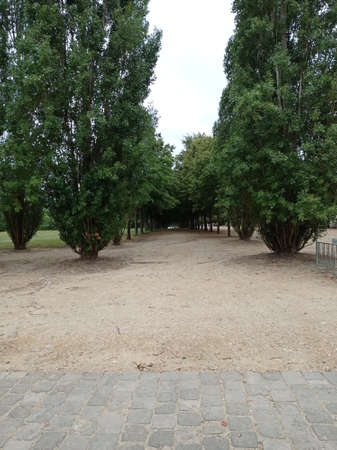 Versailles, France, June 28, 2020: View of the Chateau Versailles garden, park and tree UNESCOのeditorial素材