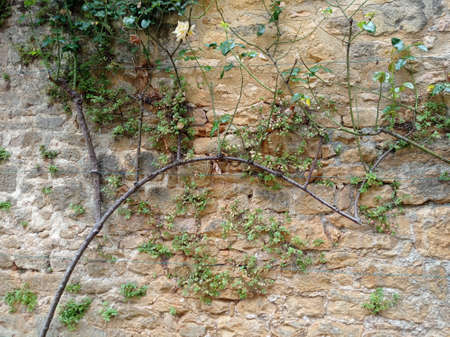 Sarlat la Caneda, France - July 2, 2020: Picturesque street in the medieval old town of Sarlat la Caneda, PÃ©rigord, Dordogne, Franceのeditorial素材