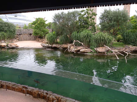 SAINT-AIGNAN, FRANCE - July 1, 2020: hippopotamus basin enclosure at Beauval Zoo.のeditorial素材
