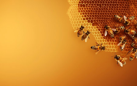 Honeycomb with bees on a yellow background. Space for text.の素材