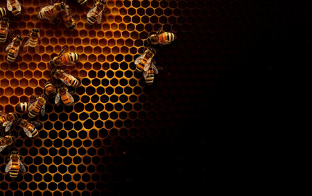 Close up view of the working bees on honeycells. Honeycomb from bee hive filled with golden honey.の素材