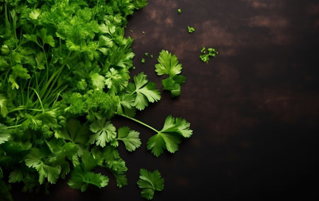 Fresh parsley on dark wooden background. Top view with copy spaceの素材