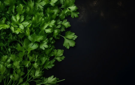 Fresh parsley on black background. Healthy food concept. Top view.の素材