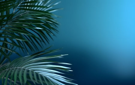 Green leaves of palm tree on blue background with copy space for textの素材