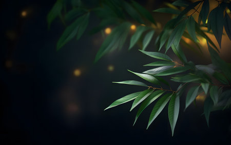 Bamboo leaves on dark background with bokeh and copy spaceの素材