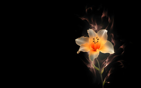 Yellow lily on a black background with smoke. Copy-space.の素材