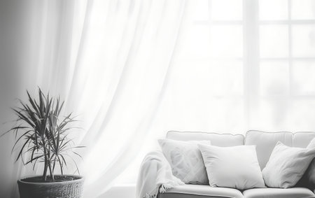 White sofa with pillows and plant in vase on window backgroundの素材
