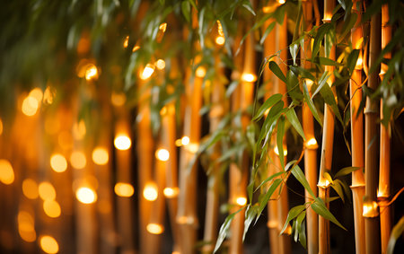 Bamboo trees with glowing bokeh lights at night, closeupの素材