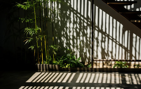Sunlight and shadow on the wall in the room with bamboo plantの素材