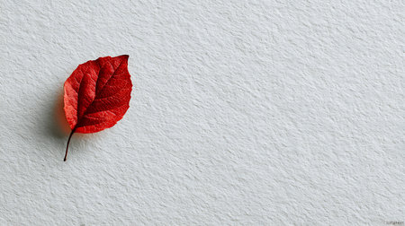 Red autumn leaf on white paper background with copy space for text.の素材