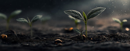 Green seedling illustrating concept of new life and natural growing - 3D renderの素材