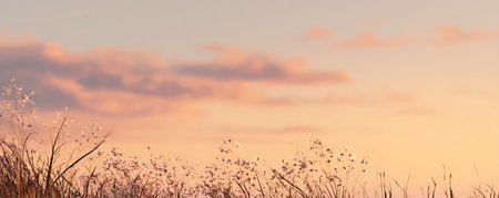 Dry grass and flowers in the field at sunset. Nature backgroundの素材