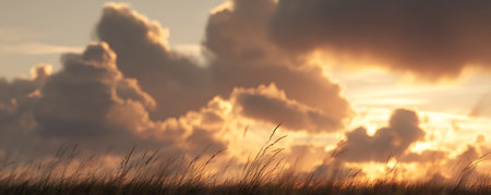 sunset over the dunes with clouds and grass, panoramaの素材
