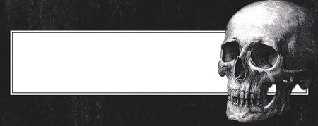 Skull on black grunge background. Copyspace. Banner.の素材