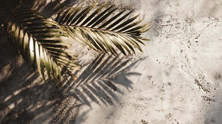 Tropical palm leaves with shadow on white cement wall background.の素材