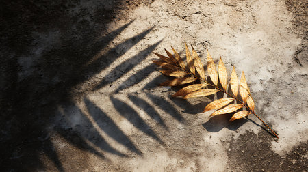 Dry leaf on cement floor with shadow of palm leaf. Top viewの素材