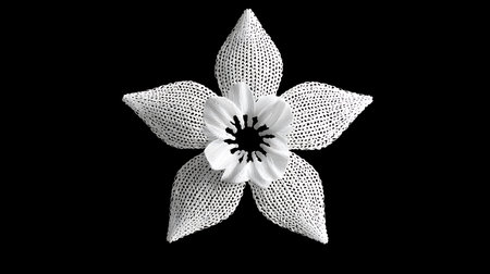 White flower on a black background. 3d rendering, 3d illustration.の素材