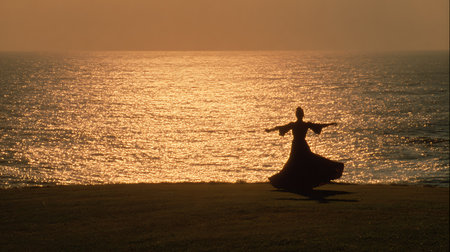 Silhouette of a girl in a long dress against the seaの素材