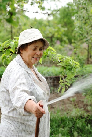 Happy senior woman hoses the garden in springの写真素材