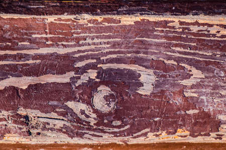 Texture of old cracked paint on wooden boardsの写真素材