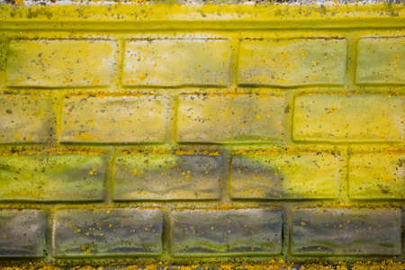 Yellow and green painted brick wallの写真素材