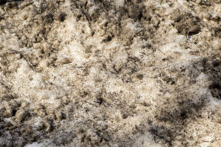 Dirty snow close-up, winter in Russiaの写真素材