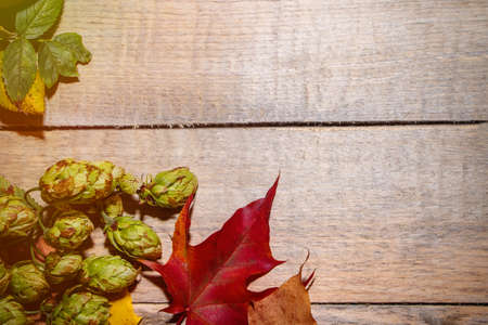 Frame from plants, autumn composition of leaves and berries on a light wooden background. Place for your textの写真素材
