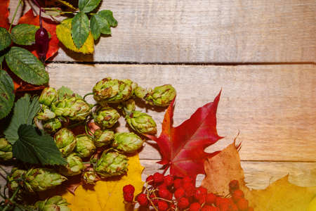 Autumn composition of leaves and berries on a light wooden background. Place for your text, frame...