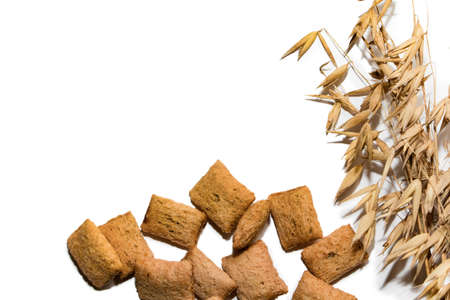 Dietary cereal pads on a white background. A bunch of cereal pads isolated on a white background and sprouts of dry oats, place for your text.の写真素材