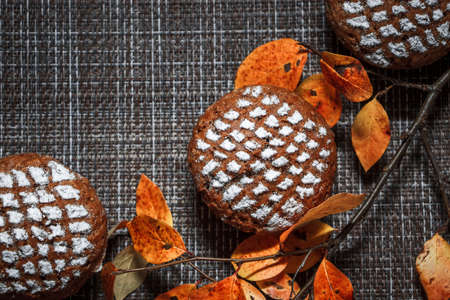 Chocolate muffins with apple filling on a background of autumn leaves and cinnamonの写真素材