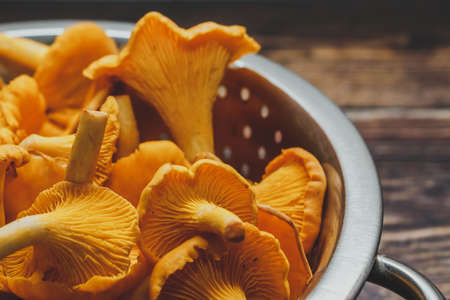 Forest orange chanterelle mushrooms on brown wooden backgroundの写真素材