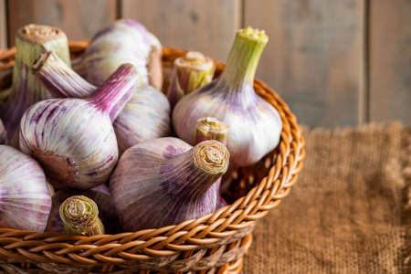 Fresh aromatic garlic on a wooden background. Fragrant spice for cooking.