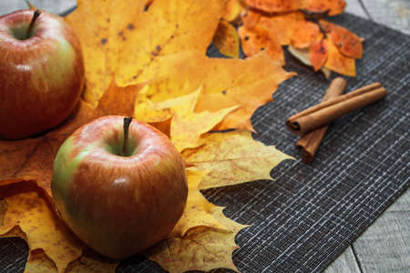 Ripe autumn apples on a background of orange leaves