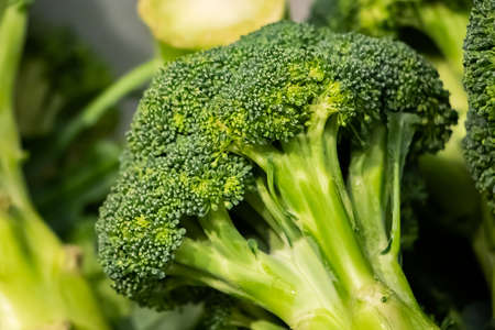 Fresh juicy broccoli at the farmers market.の写真素材