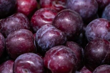Background from ripe sweet plums. Fruit for diet