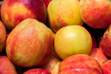 Juicy red apples at a farmers market. Ripe fruits close up.の写真素材